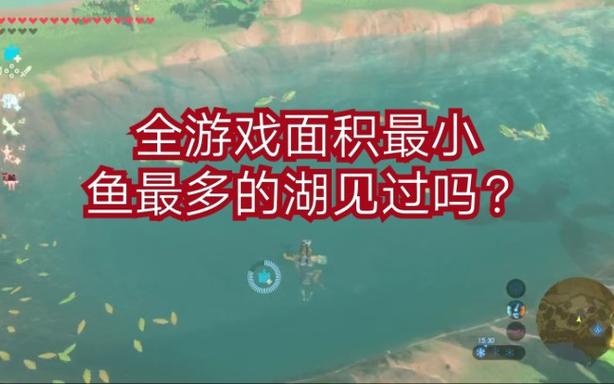 荒野之息鱼缩略图