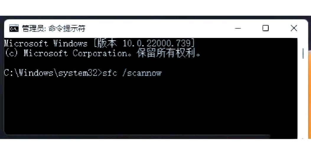 win11系统修复缩略图