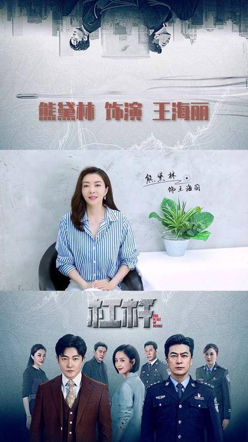 电视剧杠杆分集剧情介绍游戏截图