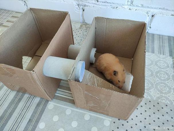 自制仓鼠窝缩略图