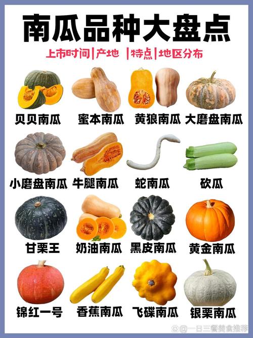 南瓜种类大全图片及名称游戏截图