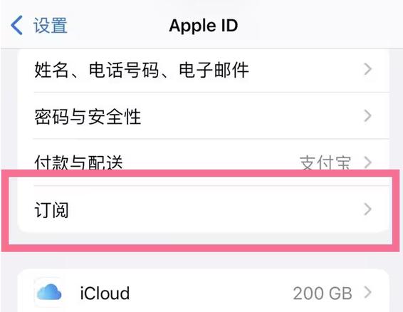 苹果的订阅里面没有取消订阅的选项游戏截图