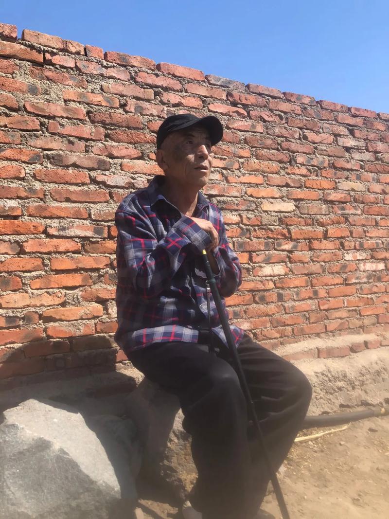 山村逍遥小农民图标