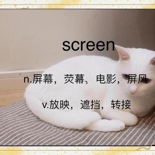 screen是什么意思游戏截图