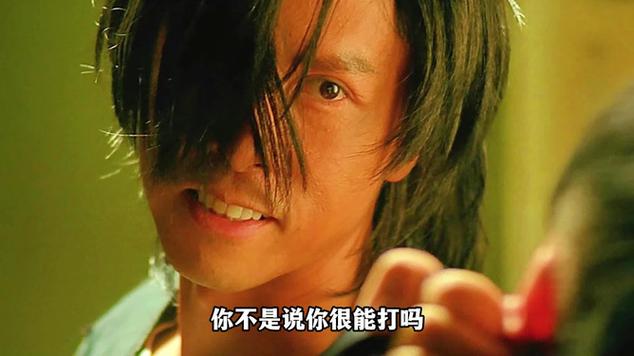 甄子丹经典电影代表作