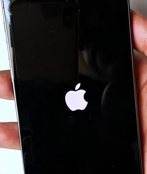 苹果手机显示苹果图标但是开不了机免排队游戏截图