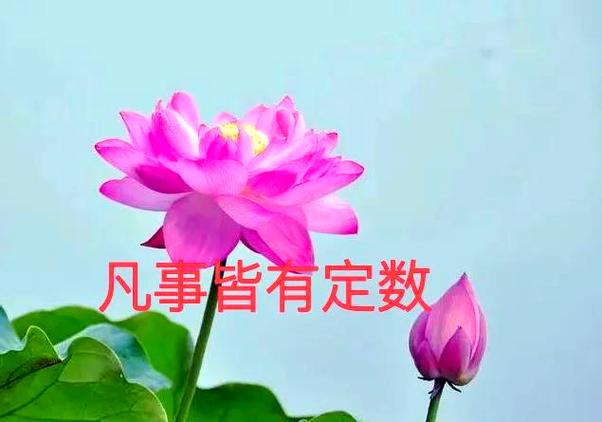 40万可以用支付宝转账么