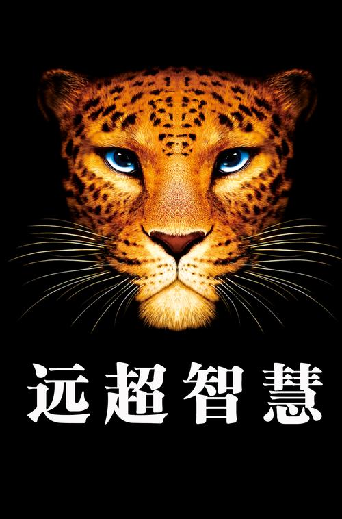 深圳远超智慧生活缩略图