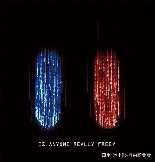 五彩影视