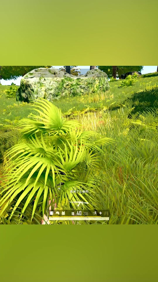 pubg小橘子直装缩略图