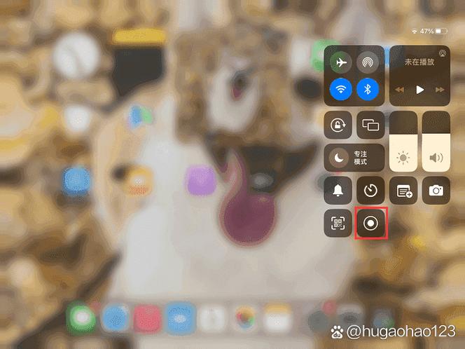 ipad免费录屏软件推荐缩略图