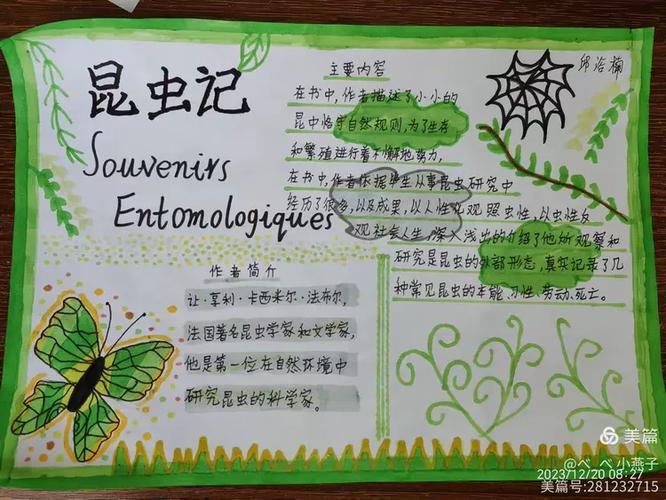 昆虫记读后感100字缩略图