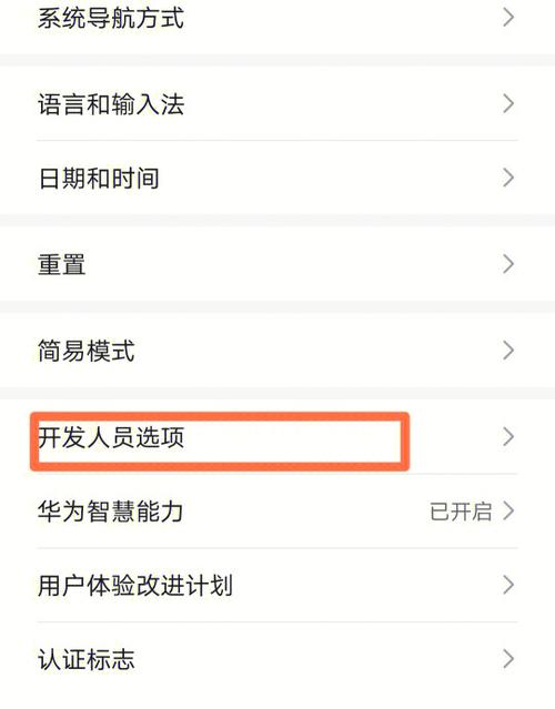 华为手机开发者模式在哪里打开