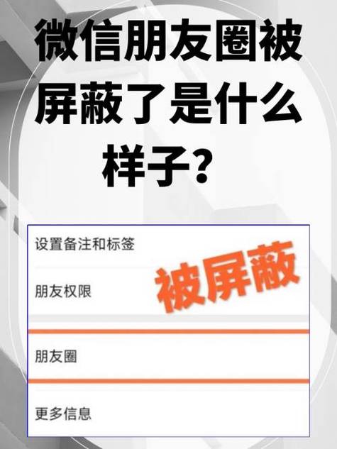 朋友圈被屏蔽怎么办缩略图