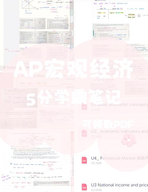 apnetwork免费版缩略图
