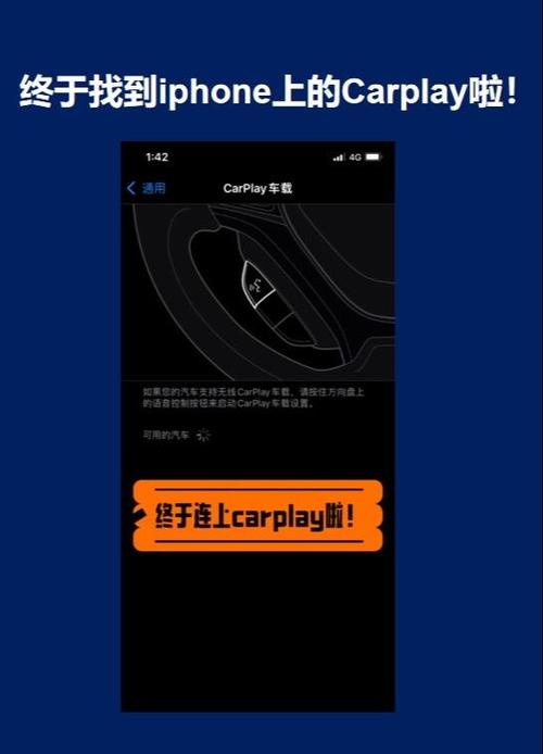 苹果怎么看carplay权限