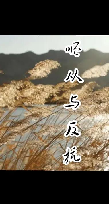 反抗反抗完美结局图标