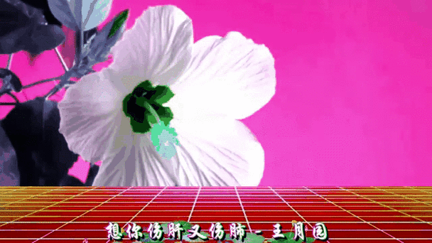 手机设置什么歌好听又清晰