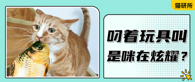 猫咪为什么嗷呜嗷呜叫图标