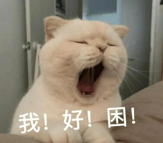 女生说太困了 情商高回复