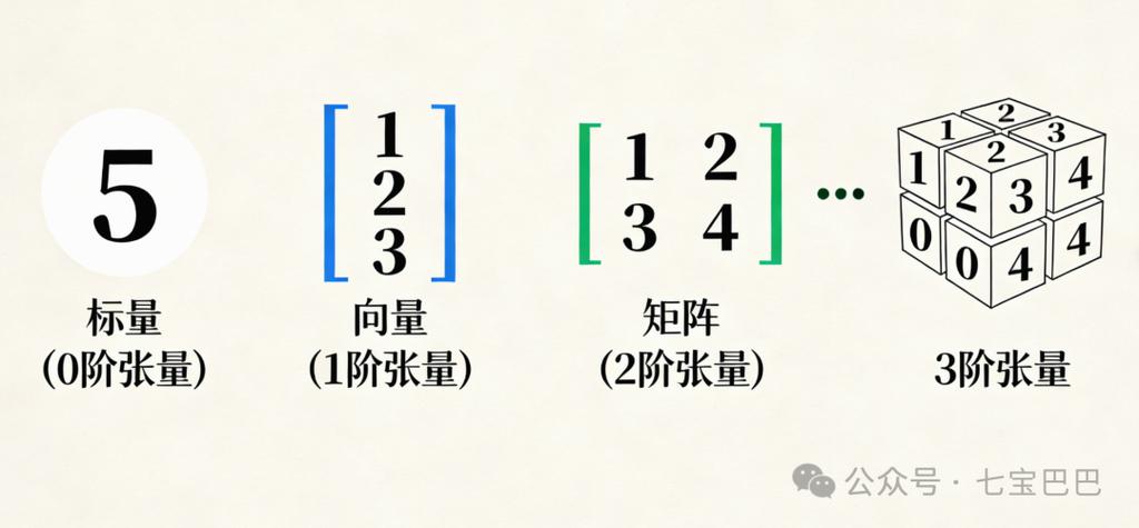 张量和向量的区别