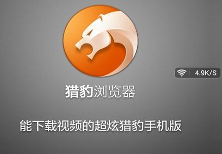 猎豹浏览器app安卓版下载缩略图