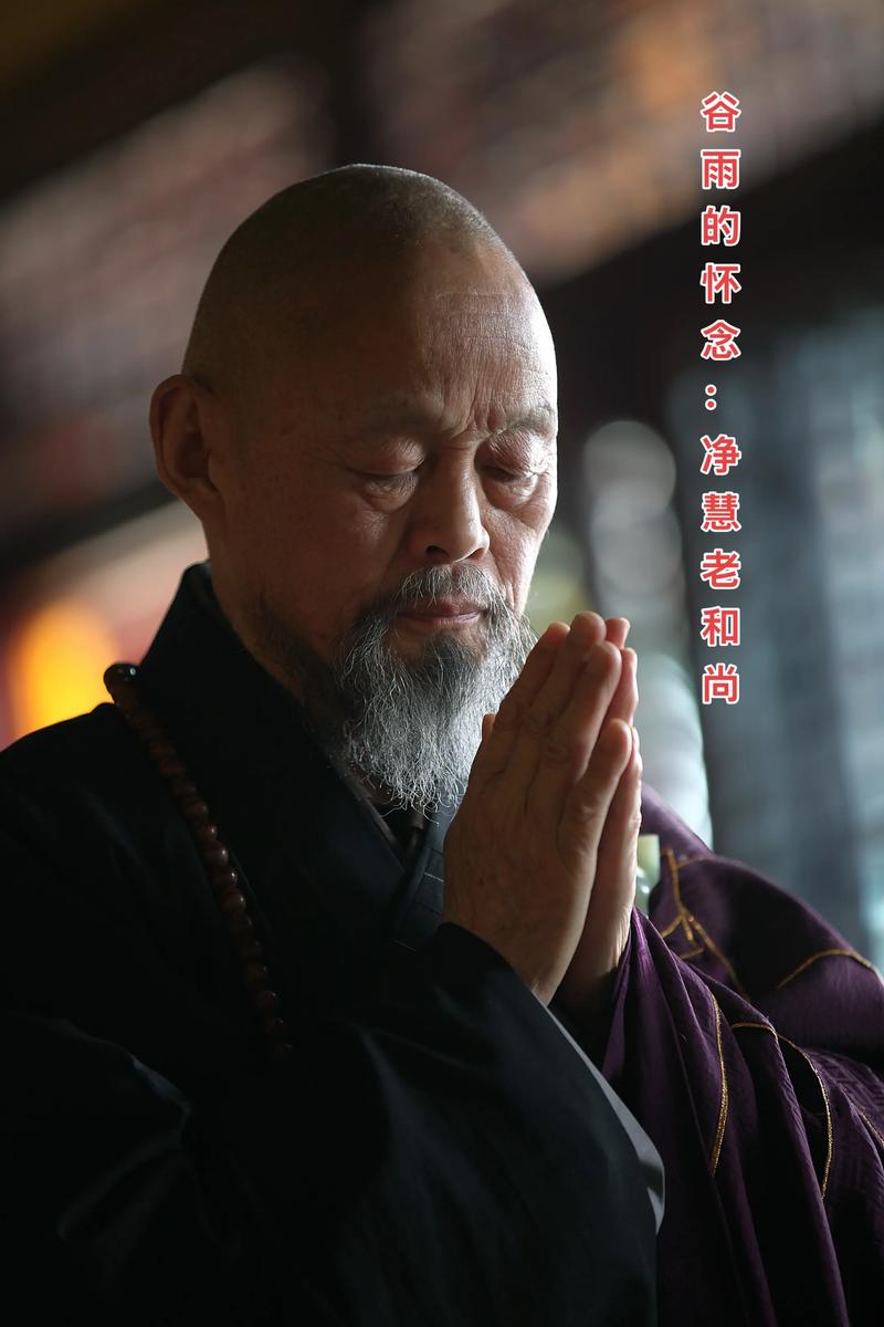 斗破我为雷族斗圣长老