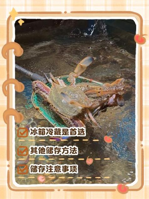 螃蟹放冷冻还是冷藏图标
