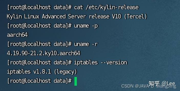 麒麟v10是x86还是arm