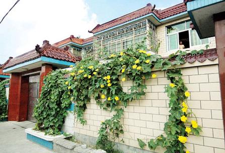 山村桃花源免费阅读缩略图