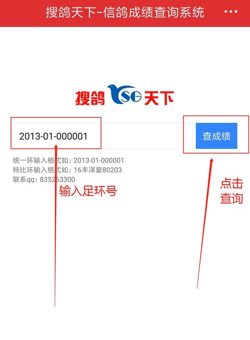 鸽子脚环编号查询图标