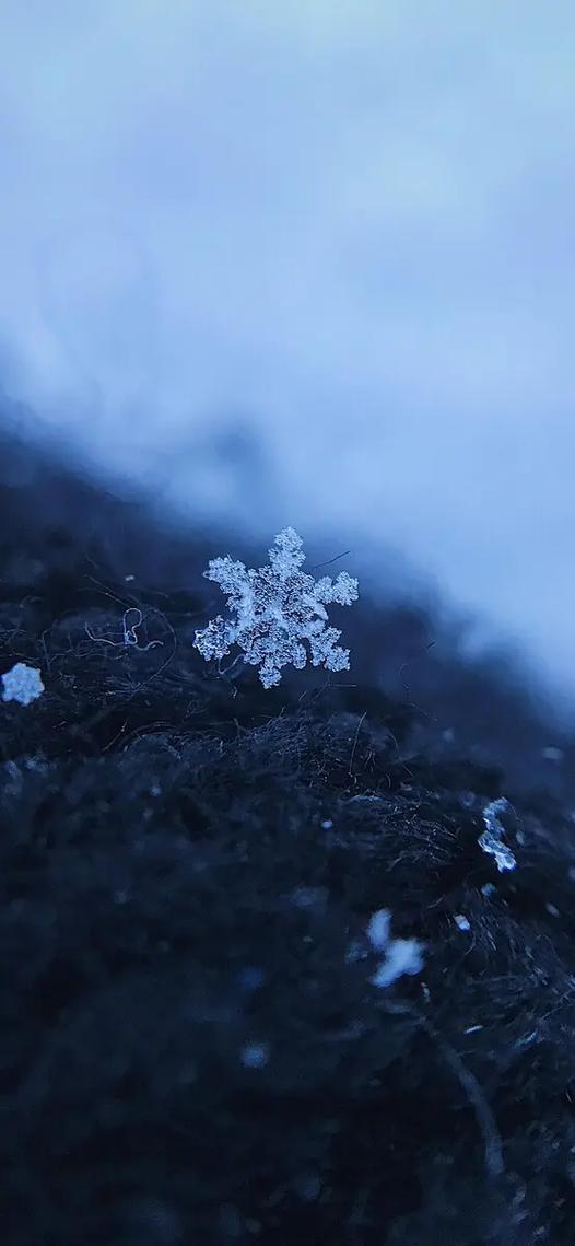 雪花公益内核(免root)缩略图