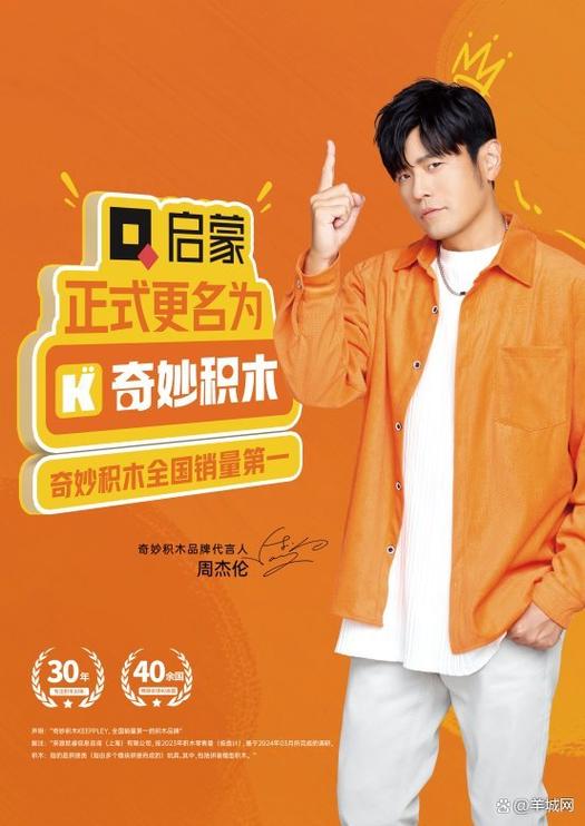 中国积木品牌