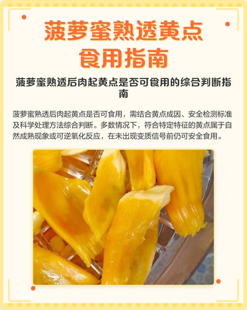 菠萝蜜太生了还能熟吗缩略图
