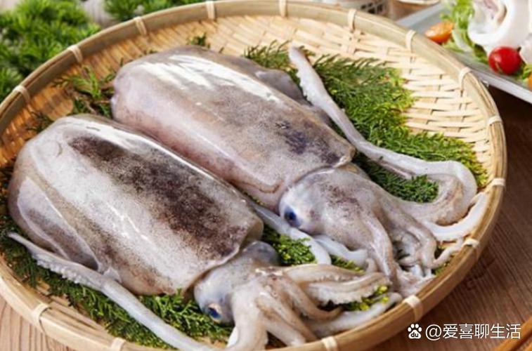 章鱼头像的聊天软件游戏截图