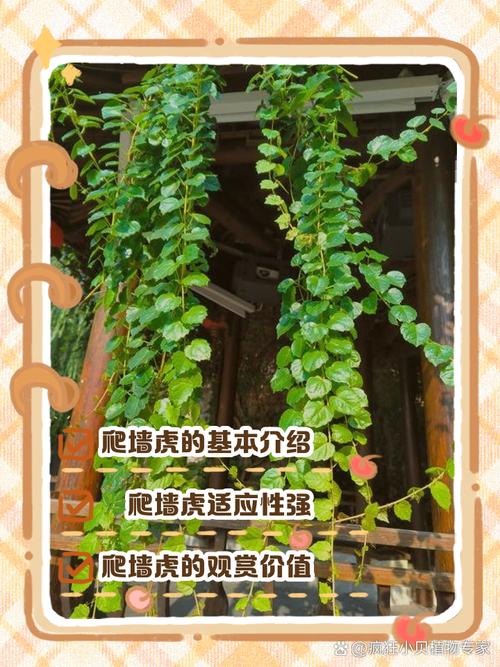 求生之路2穿墙指令