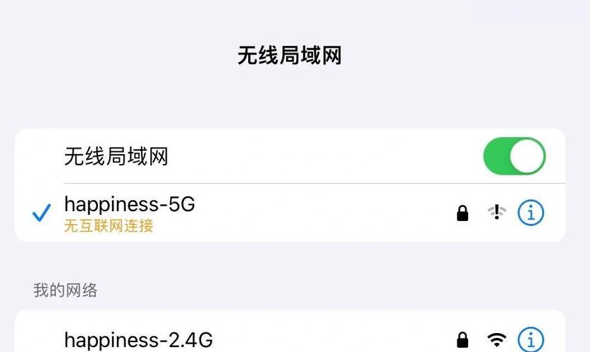 ipad个别软件无法连接网络缩略图
