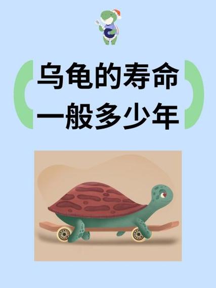 乌龟可以活多久图标