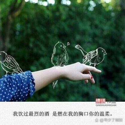 谁知柔情相伴烈火缩略图