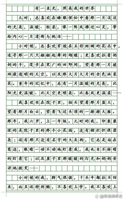 中考优秀作文600字游戏截图