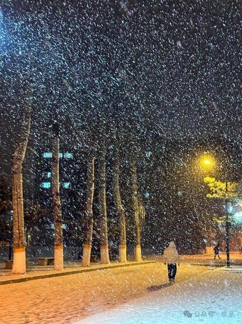 雪花飘飘的短视频图标