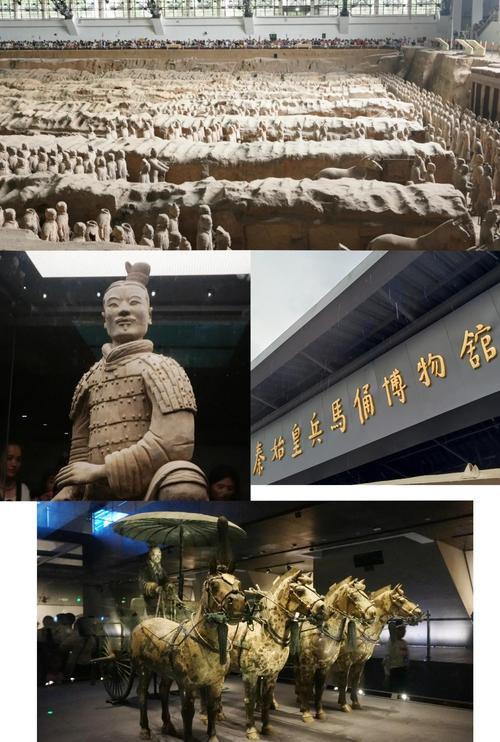 兵马俑的简介50字