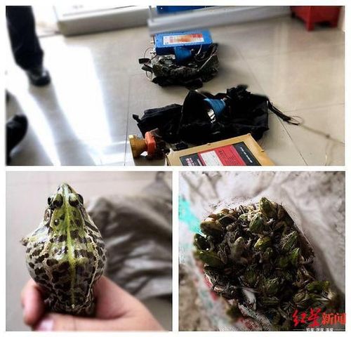 抓70只