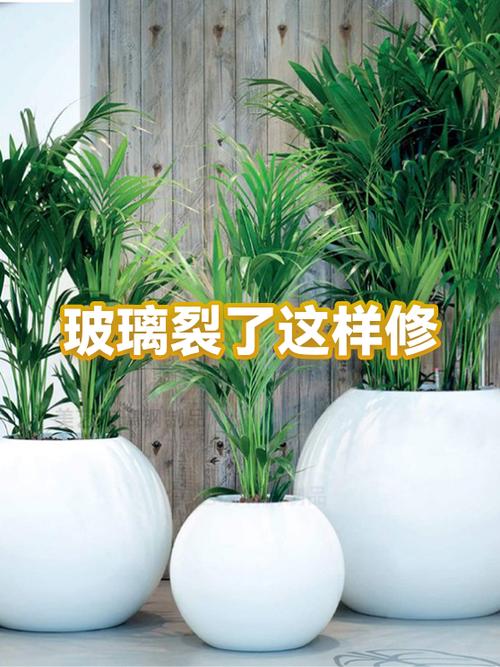 镜子玻璃裂缝怎么修复缩略图