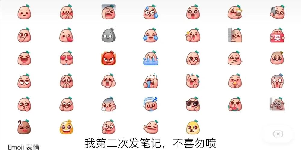 小红书的表情什么意思