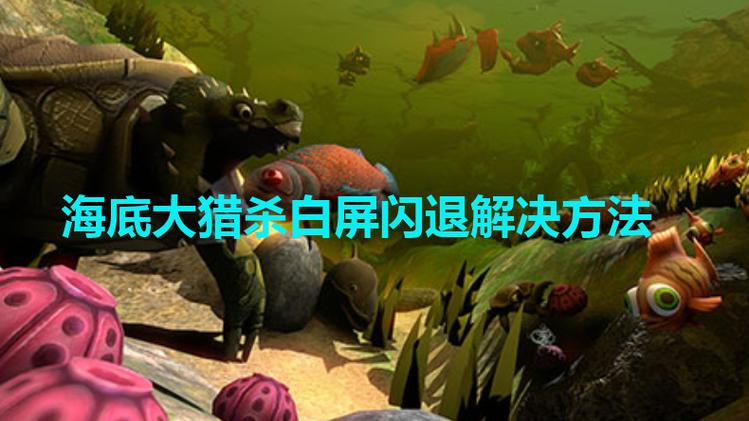 海底大猎杀为什么白屏进不去