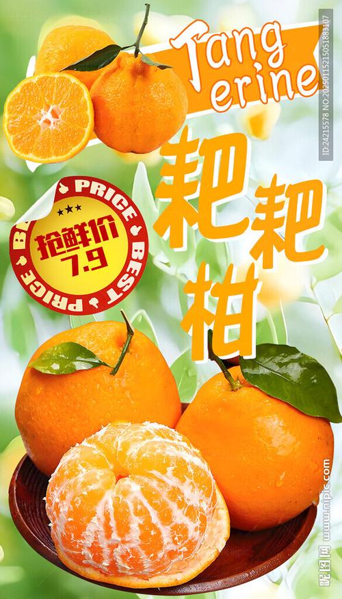橘子创意广告语游戏截图