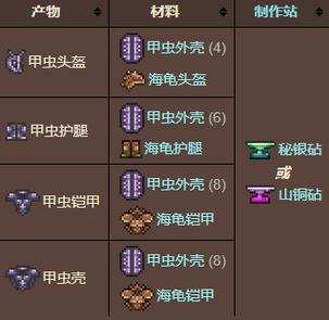 泰拉瑞亚甲虫套装效果一览游戏截图