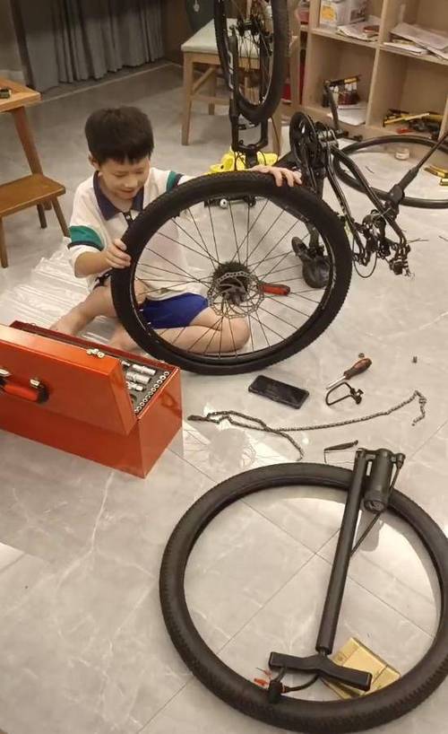 共享单车坏了锁不上怎么办