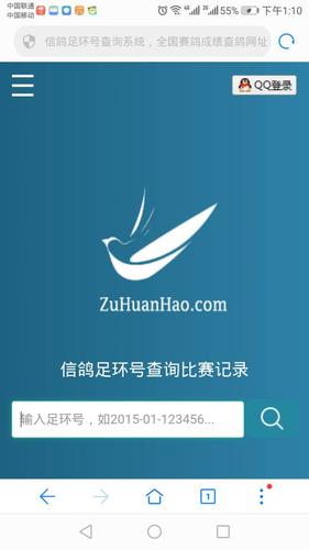 怎么查鸽子的环号码查询